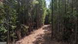 0 Fortune Hole Road - Photo 7