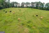 60 +/- Acres At 295 J Davis Road - Photo 3