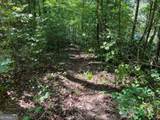 4 Maxwell Mountain Road - Photo 13