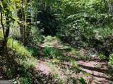 4 Maxwell Mountain Road - Photo 3
