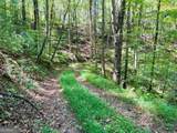 4 Maxwell Mountain Road - Photo 4