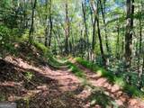 4 Maxwell Mountain Road - Photo 5