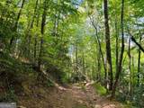 4 Maxwell Mountain Road - Photo 6