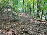 4 Maxwell Mountain Road - Photo 9