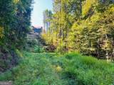 220 Maxwell Mountain Road - Photo 3