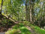 220 Maxwell Mountain Road - Photo 4