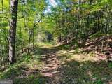 220 Maxwell Mountain Road - Photo 6