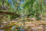 2688 Calhoun Falls Highway - Photo 40