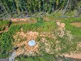 2235 Kings Forest Drive - Photo 8