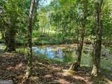 330 Coosa Run - Photo 56