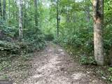 201 Black Bear Trace - Photo 1