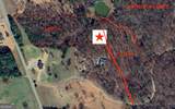 201 Black Bear Trace - Photo 2