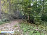 201 Black Bear Trace - Photo 4