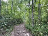 201 Black Bear Trace - Photo 6