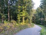 201 Black Bear Trace - Photo 8