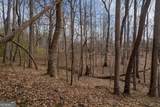 0 Jesse Martin Trail - Photo 10