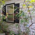 4377 Rock Mills Road - Photo 1