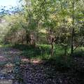 4377 Rock Mills Road - Photo 6