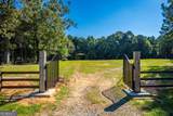 1876 Bobby Brown State Park Road - Photo 2