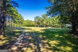 1876 Bobby Brown State Park Road - Photo 22