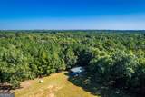 1876 Bobby Brown State Park Road - Photo 6