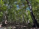 0 Moss Patch Trail - Photo 1