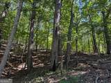0 Moss Patch Trail - Photo 3
