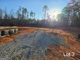 LOT 3 County Line Road - Photo 2