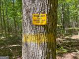 38 +/- Acres On Ga Hwy 157 - Photo 10