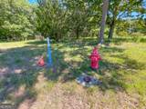 38 +/- Acres On Ga Hwy 157 - Photo 12