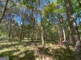 38 +/- Acres On Ga Hwy 157 - Photo 13