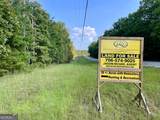 38 +/- Acres On Ga Hwy 157 - Photo 16