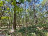 38 +/- Acres On Ga Hwy 157 - Photo 17
