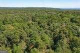 38 +/- Acres On Ga Hwy 157 - Photo 18
