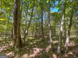 38 +/- Acres On Ga Hwy 157 - Photo 22