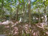 38 +/- Acres On Ga Hwy 157 - Photo 23
