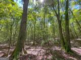 38 +/- Acres On Ga Hwy 157 - Photo 3