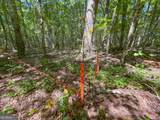 38 +/- Acres On Ga Hwy 157 - Photo 5