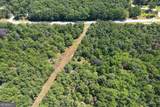 38 +/- Acres On Ga Hwy 157 - Photo 6