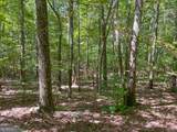 38 +/- Acres On Ga Hwy 157 - Photo 9
