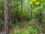 0 Double Pond Trail - Photo 16