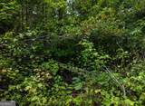 0 Double Pond Trail - Photo 17