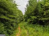 0 Double Pond Trail - Photo 5