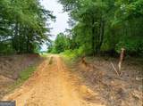 0 Double Pond Trail - Photo 6