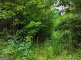0 Double Pond Trail - Photo 7