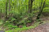 0 Long Mountain Road - Photo 5