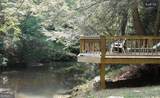 0 Mill Creek Trail - Photo 14