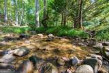 35 Wunder Bear Ridge Road - Photo 52