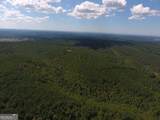 0 Johnson Mountain Road - Photo 11