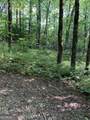 0 Maple Leaf Drive - Photo 4